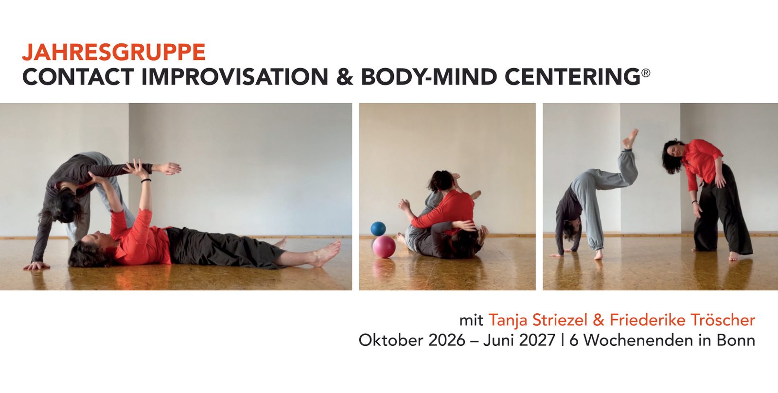 Contact Improvisation & Body-Mind Centering Jahresgruppe Bonn